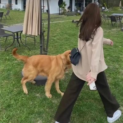 犯罪恐怖