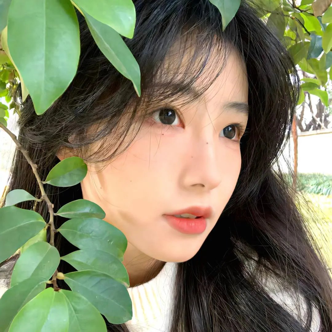 彗星来的那一夜2019